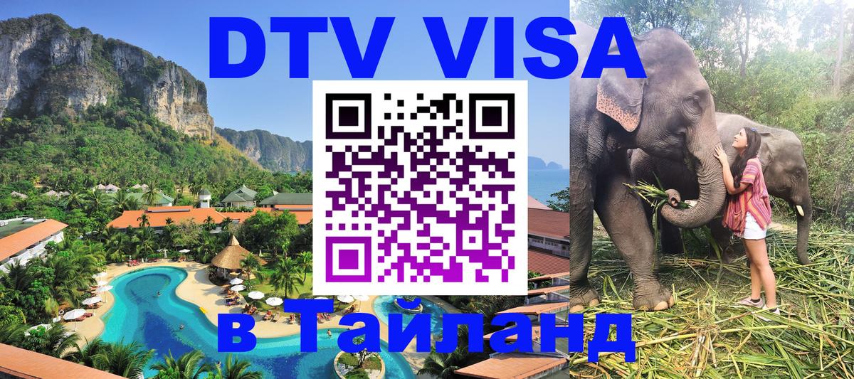 Оформление DTV визы под ключ: стоимость и тарифы, только загранпаспорт - 21.11.2025 